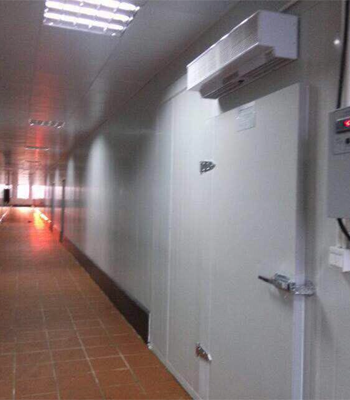 Customised Cold And Freezer Room Img03 walk in cellar