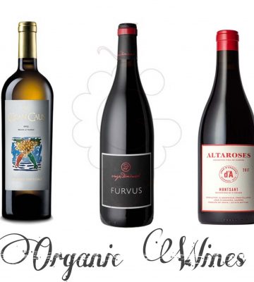 Wine 3 Photo Wine 3 Photo